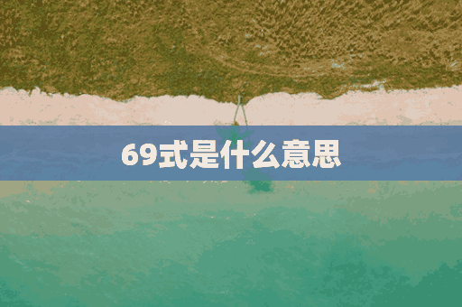 69式是什么意思